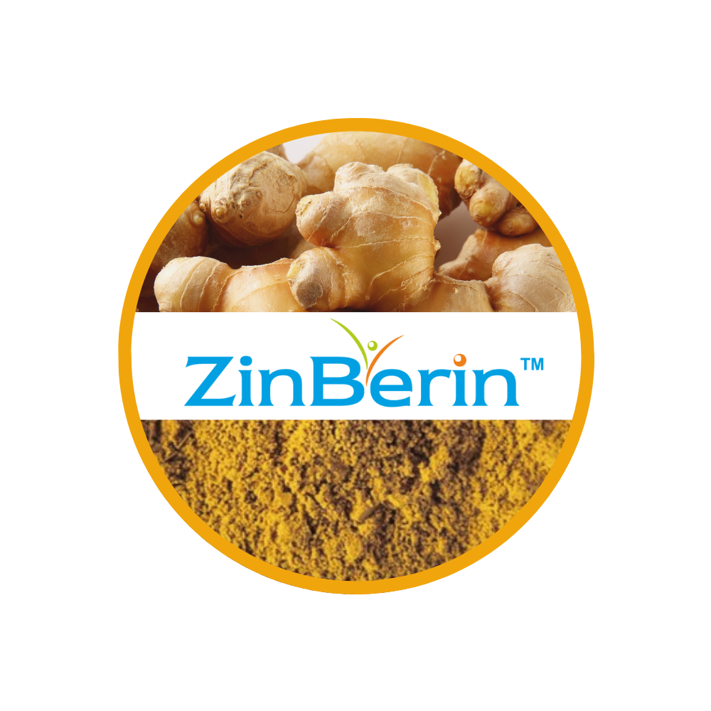 Ginger rhizome, the source of Zinberin Full-Spectrum Ginger Extract
